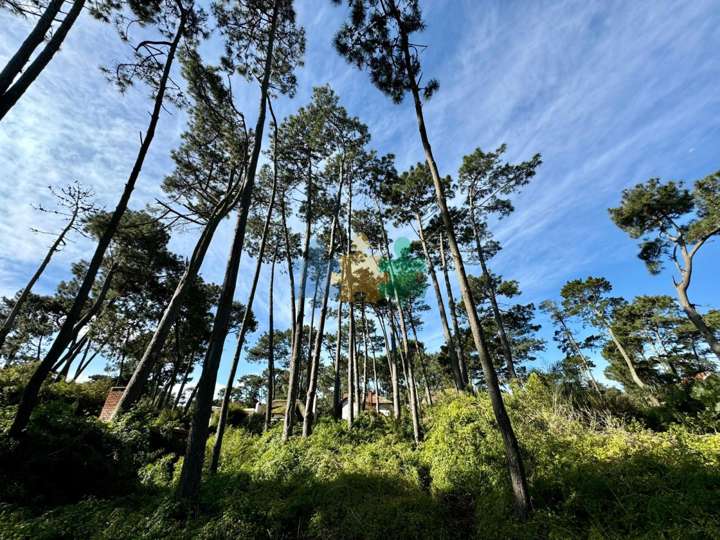 Terreno en venta en Pinares, Maldonado