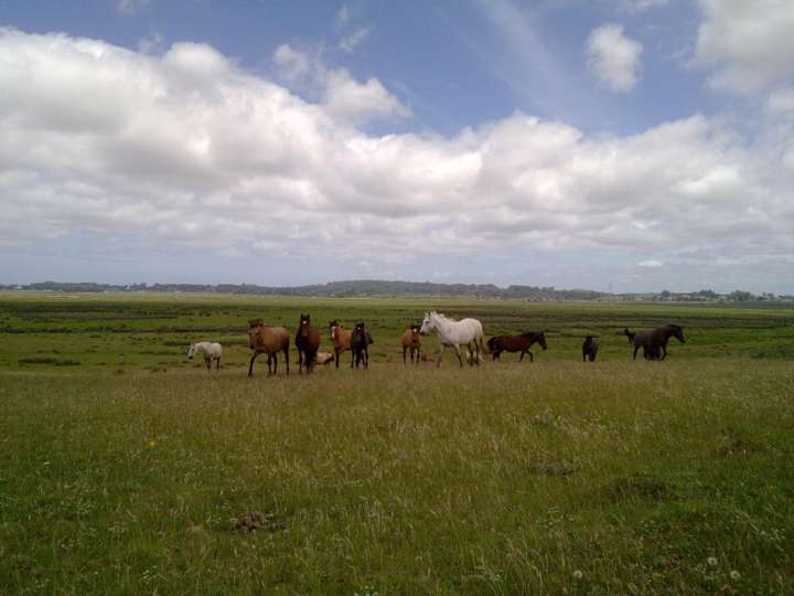 Granja en venta en Maldonado