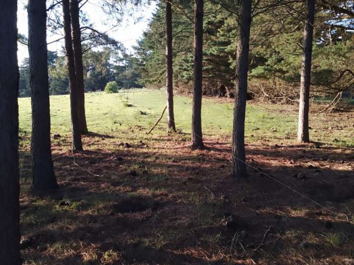 Granja en venta en Maldonado