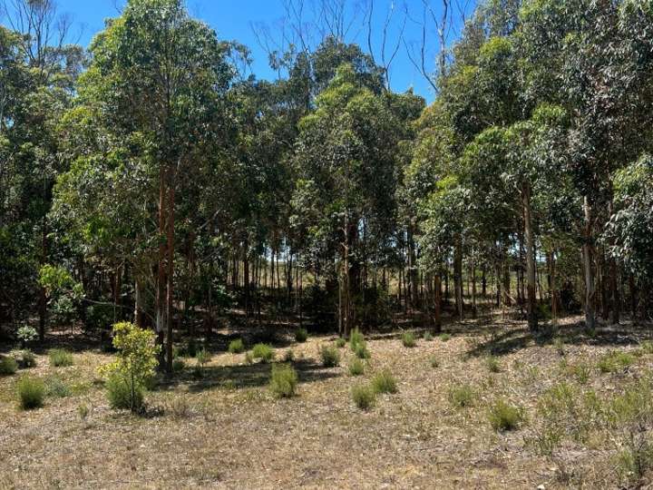 Terreno en venta en Maldonado