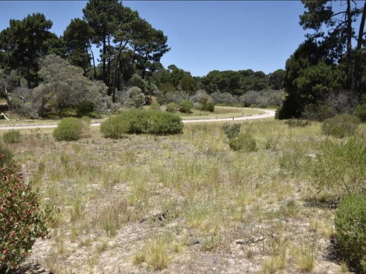 Terreno en venta en Maldonado