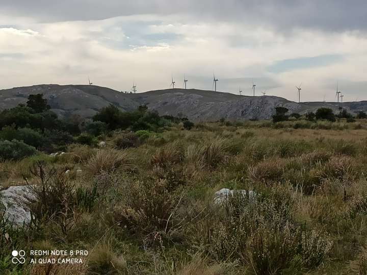 Granja en venta en Maldonado