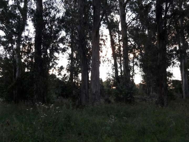 Terreno en venta en Partido de Punta Indio, Buenos Aires