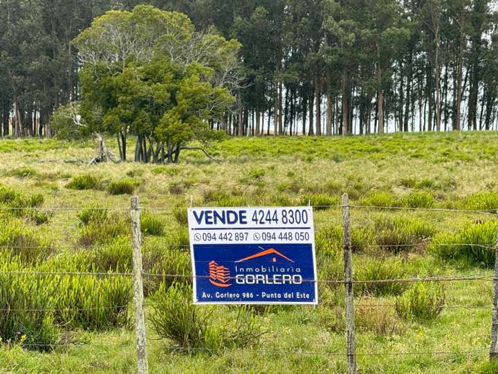 Granja en venta en Rocha