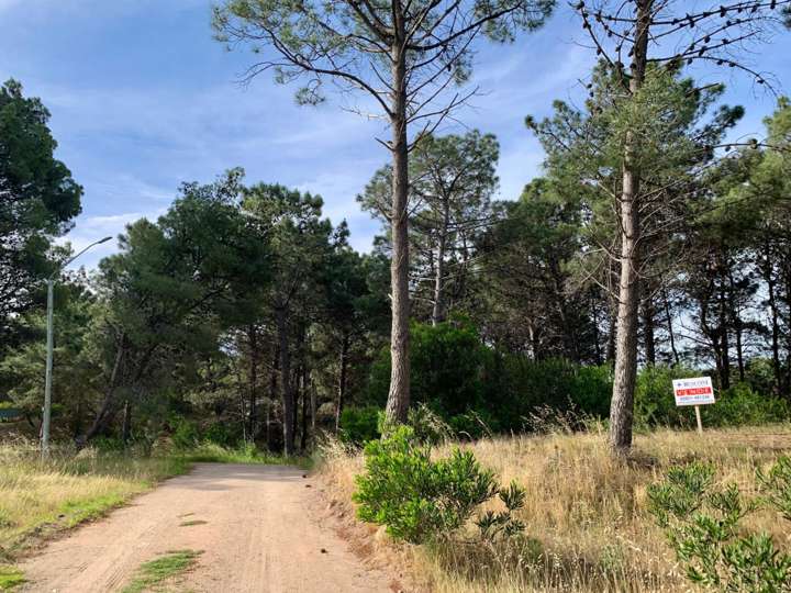 Terreno en venta en Las Lechuzas, Buenos Aires