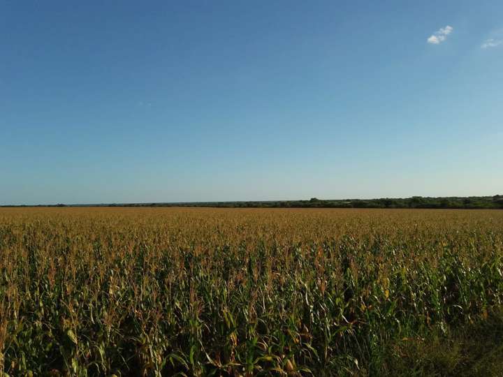 Terreno en venta en Ruta Nacional 127, Federal