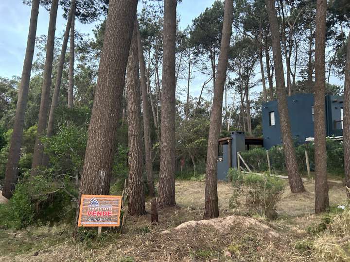 Terreno en venta en De Arosa, Maldonado