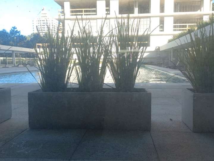 Apartamento en venta en Avenida Franklin Delano Roosevelt, Punta Del Este