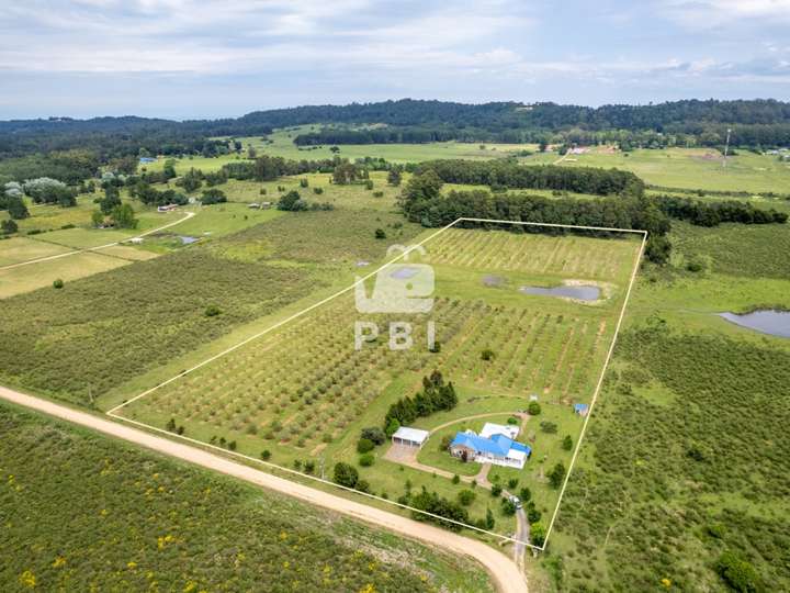 Granja en venta en Tercera Vecinal a Ruta 29, Maldonado