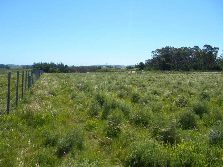 Granja en venta en Maldonado