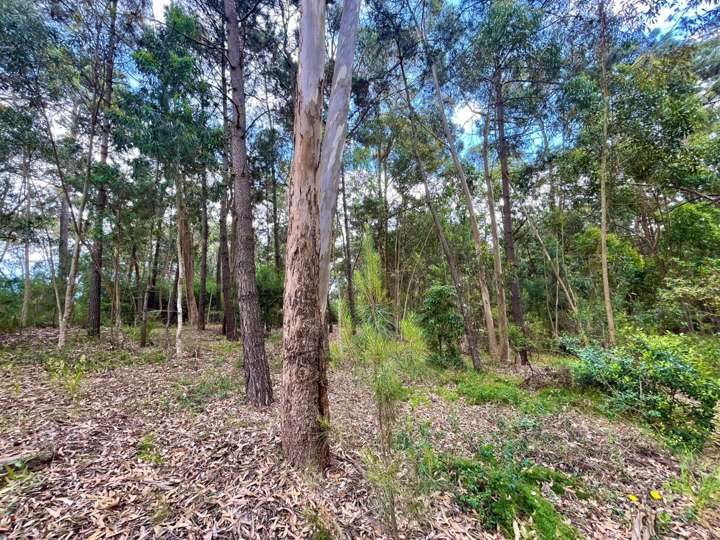 Terreno en venta en Maldonado