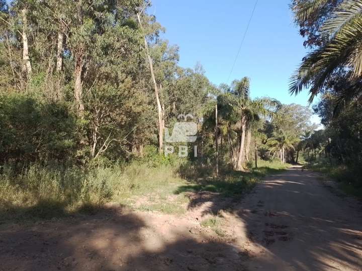 Terreno en venta en Maldonado