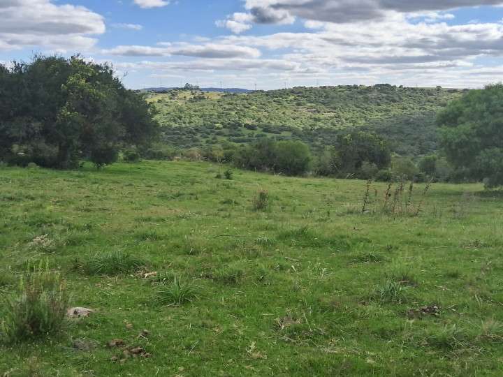 Granja en venta en Aiguá