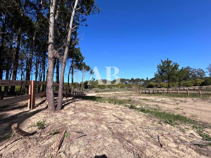 Terreno en venta en Rolando, Rocha