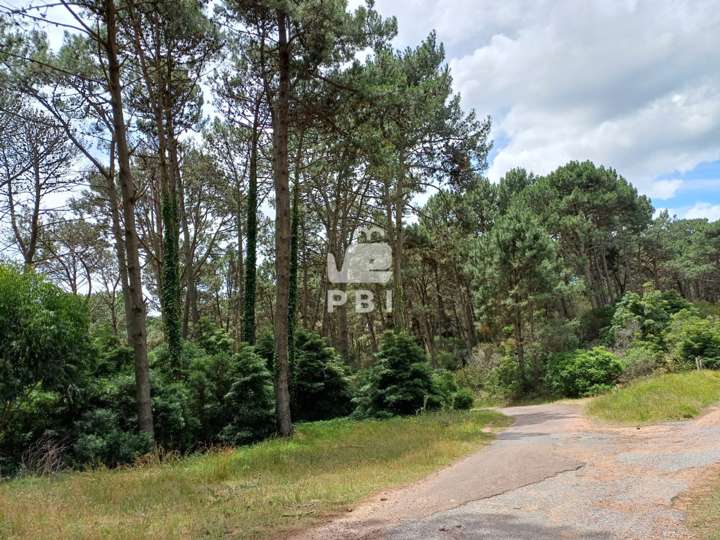 Terreno en venta en Laguna del Sauce, Maldonado