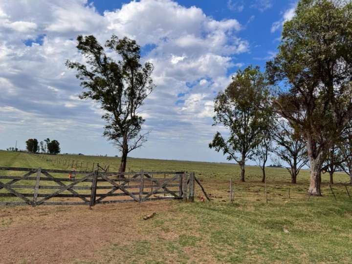 Terreno en venta en Rivadavia, 1245, General Villegas