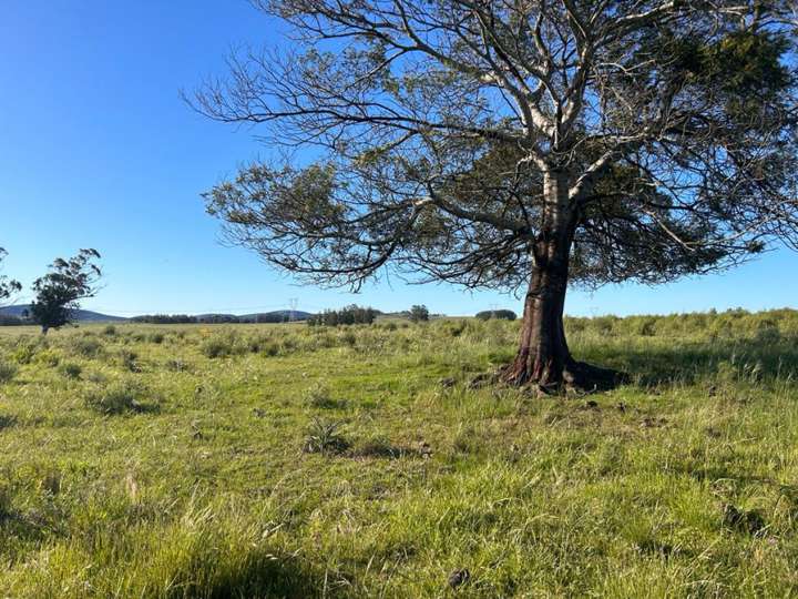 Granja en venta en Ruta 39, Maldonado