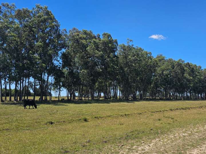 Granja en venta en Castillos