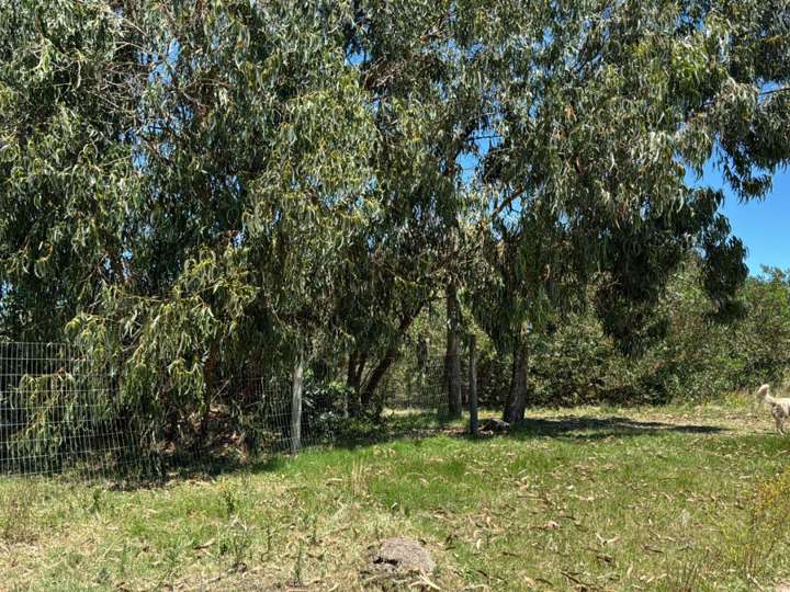 Terreno en venta en Maldonado