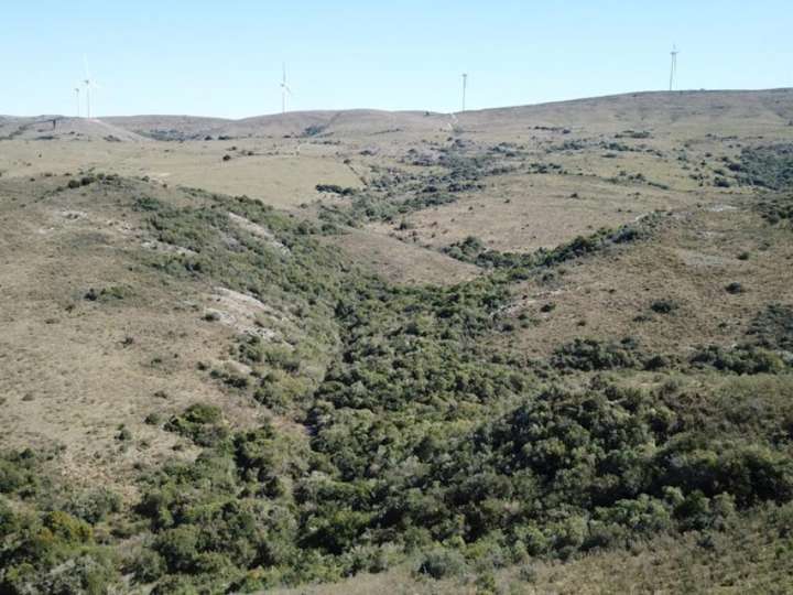 Granja en venta en Maldonado