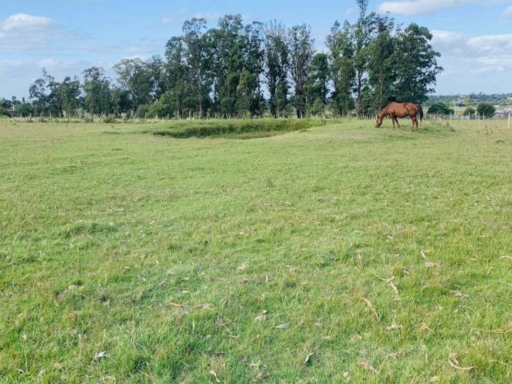 Granja en venta en Maldonado