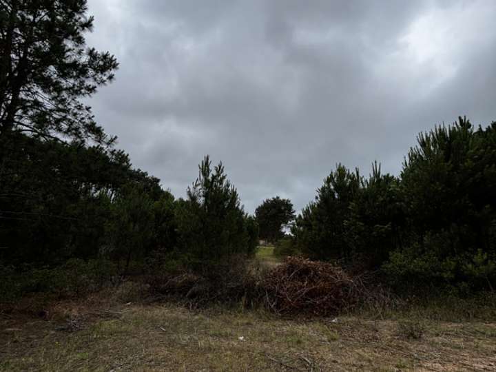 Terreno en venta en La Genova, Maldonado