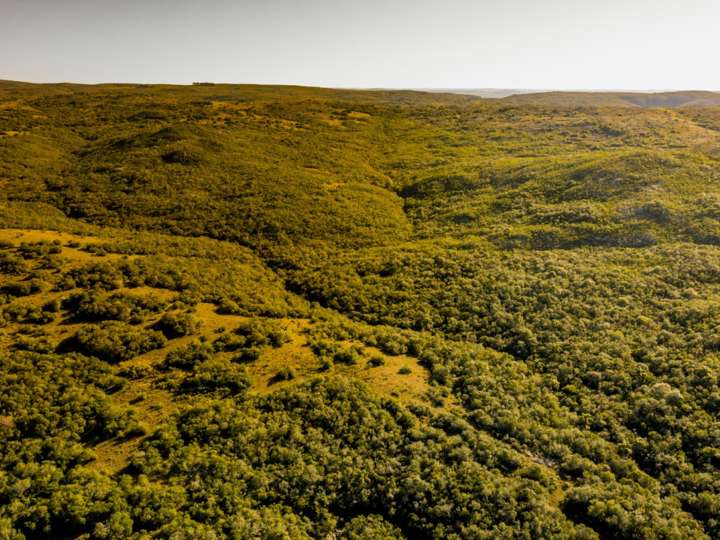 Granja en venta en Maldonado