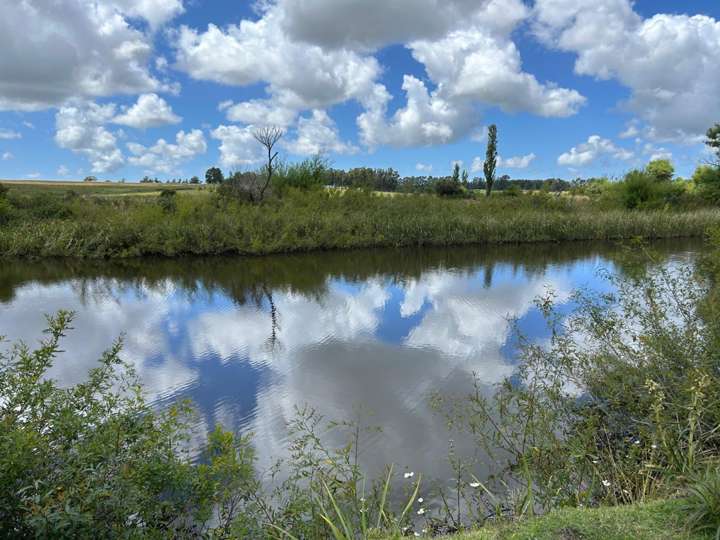 Granja en venta en Rambla General Artigas, Punta Del Este
