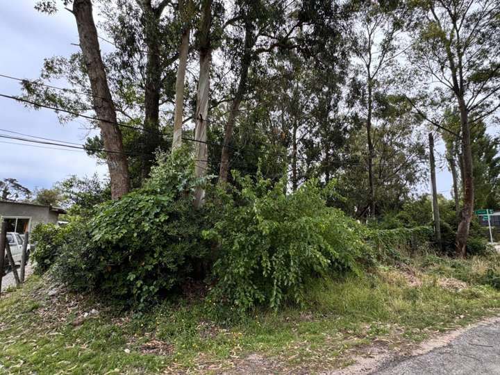 Terreno en venta en Domingo Arena, El Tesoro