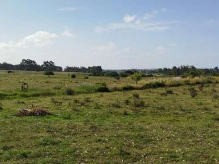Granja en venta en Rambla General Artigas, Punta Del Este