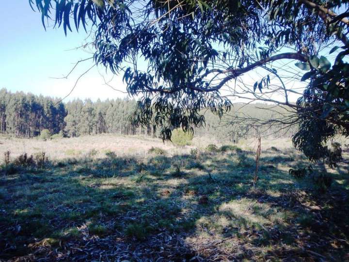 Granja en venta en Maldonado