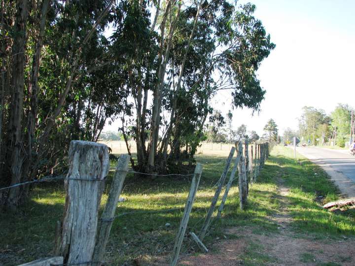 Granja en venta en Maldonado
