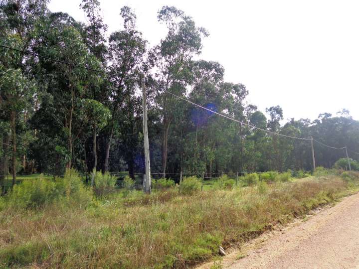 Granja en venta en Maldonado