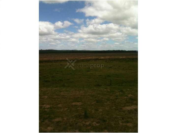 Granja en venta en Maldonado
