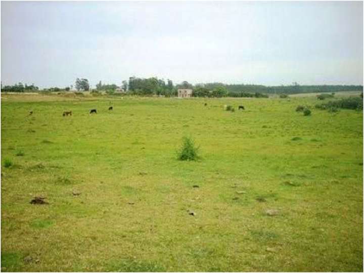 Granja en venta en Maldonado