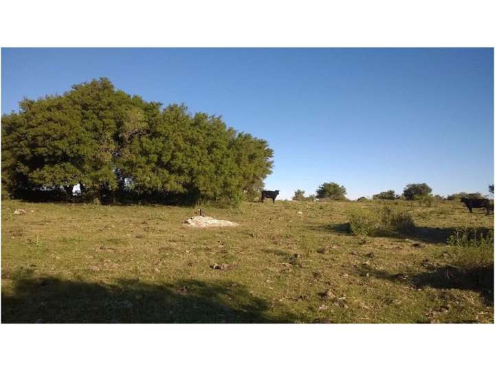 Granja en venta en Maldonado