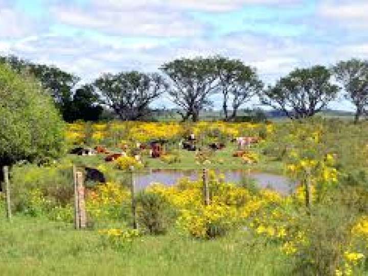 Granja en venta en Maldonado