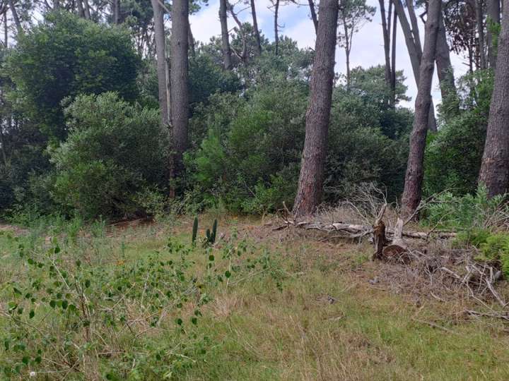 Terreno en venta en Maldonado