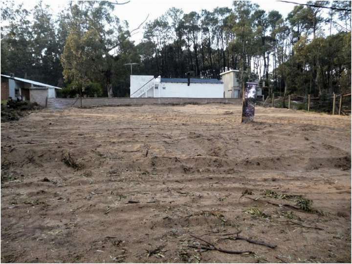Terreno en venta en Maldonado