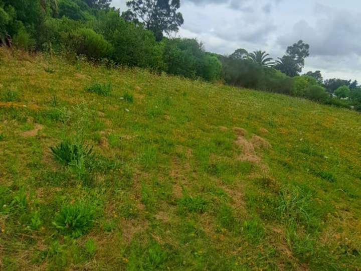 Terreno en venta en Durazno, Maldonado