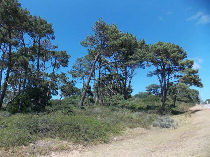 Terreno en venta en José Cuneo, San Rafael - El Placer