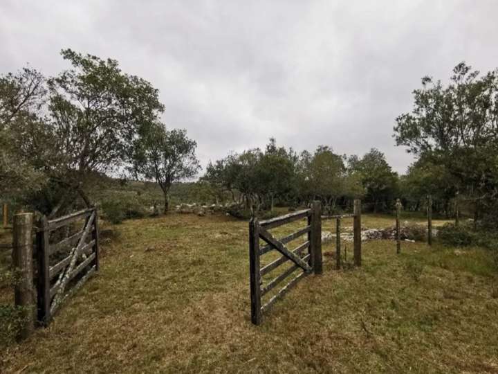 Terreno en venta en Lavalleja