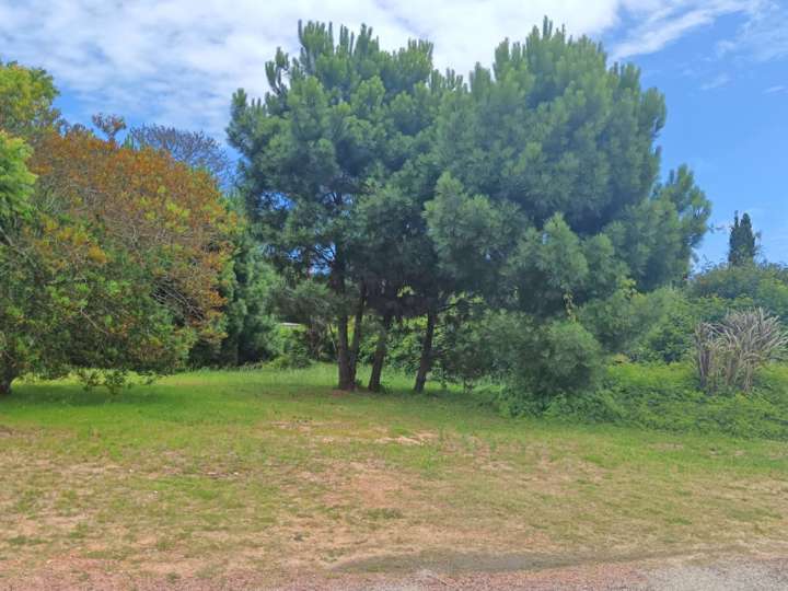 Terreno en venta en Punta Del Este