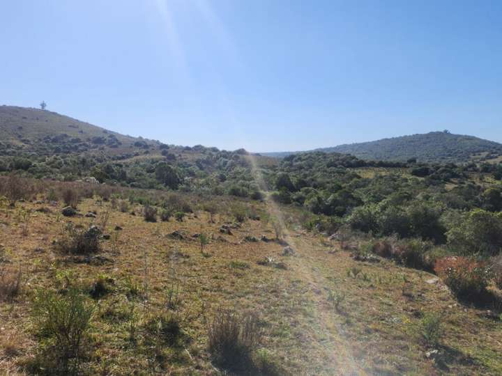 Granja en venta en Maldonado