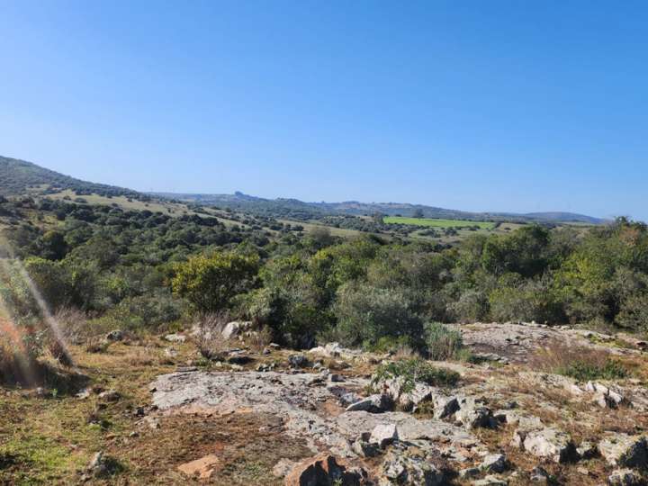 Granja en venta en Rambla General Artigas, Punta Del Este