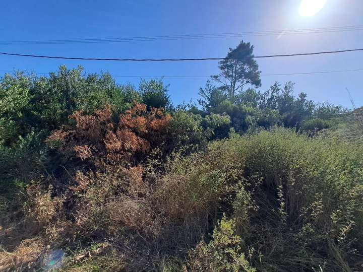 Terreno en venta en Calle 11 - La Faena, Buenos Aires