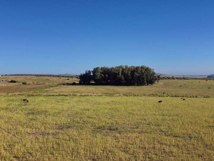 Granja en venta en Maldonado