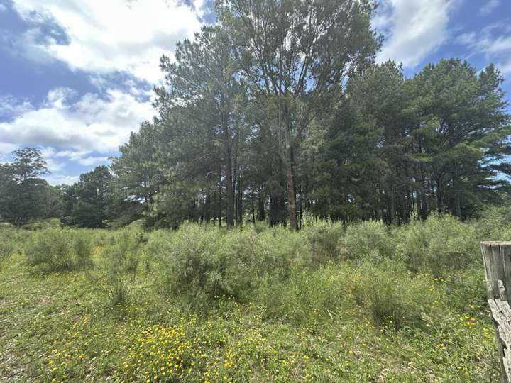 Granja en venta en Las Golondrinas, Maldonado
