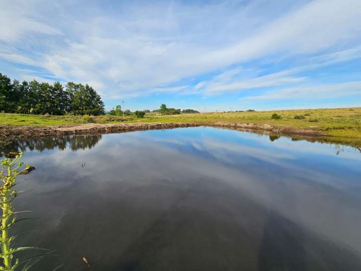 Granja en venta en Rambla General Artigas, Punta Del Este