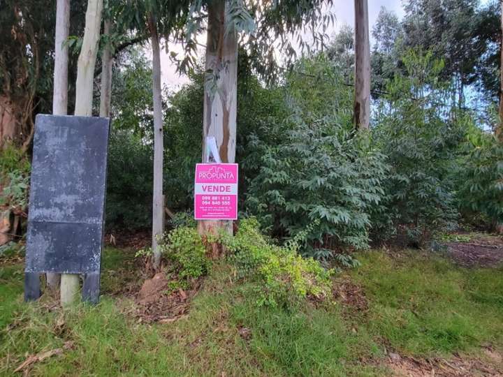 Terreno en venta en Buenos Aires